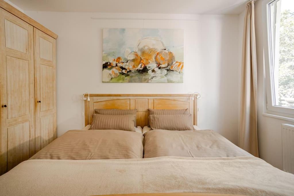 Tolles Apartment In Idyllischer Ruhiger Lage 브라운슈바이크 외부 사진